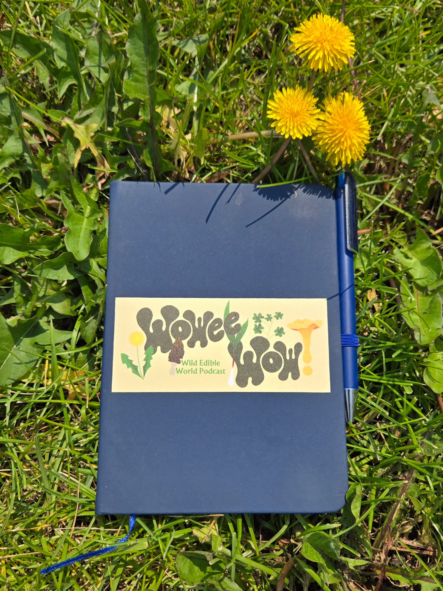 Foraging notebook in blue (w/pen)