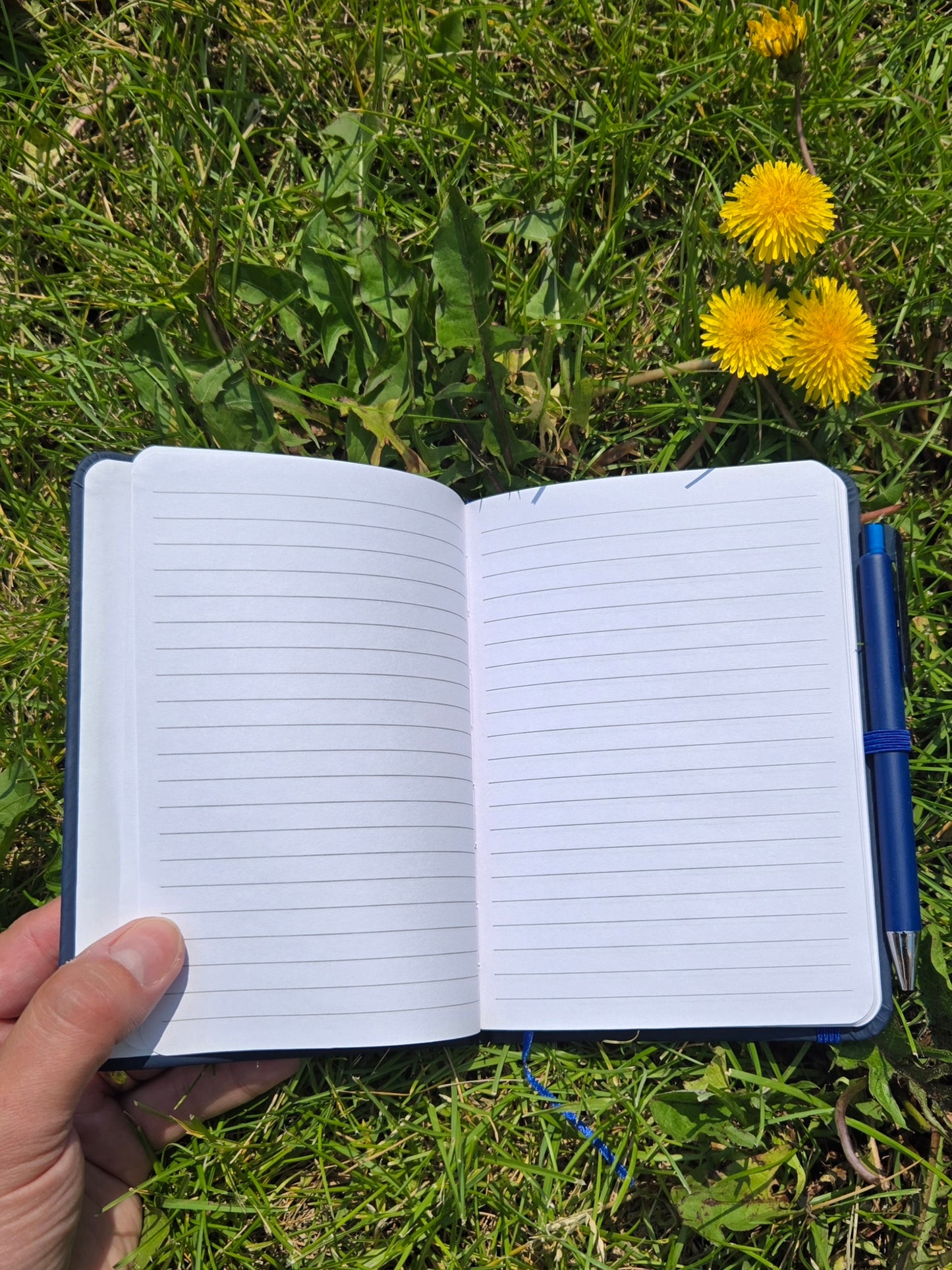 Foraging notebook in blue (w/pen)