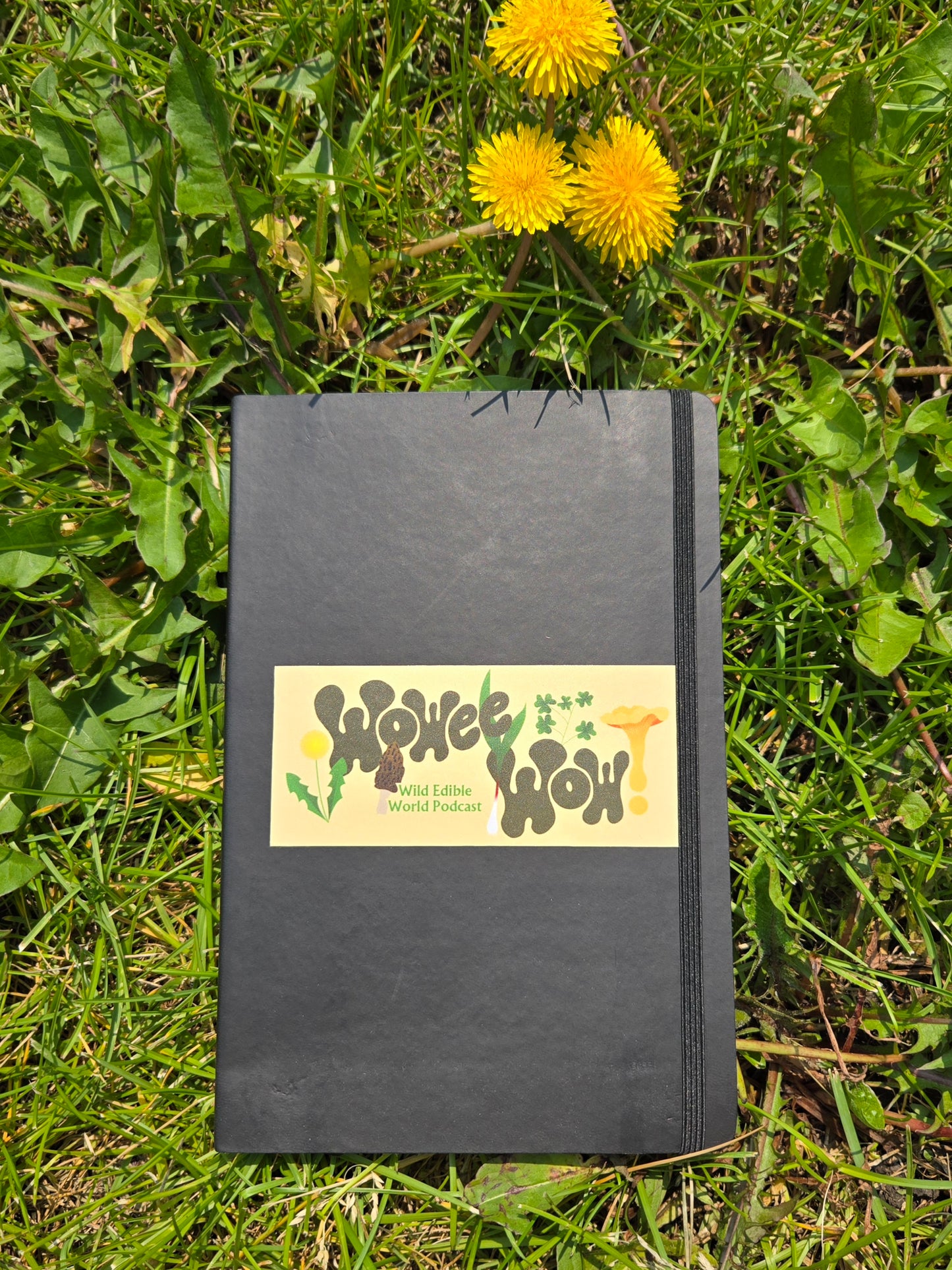 Foraging notebook in black (no pen)