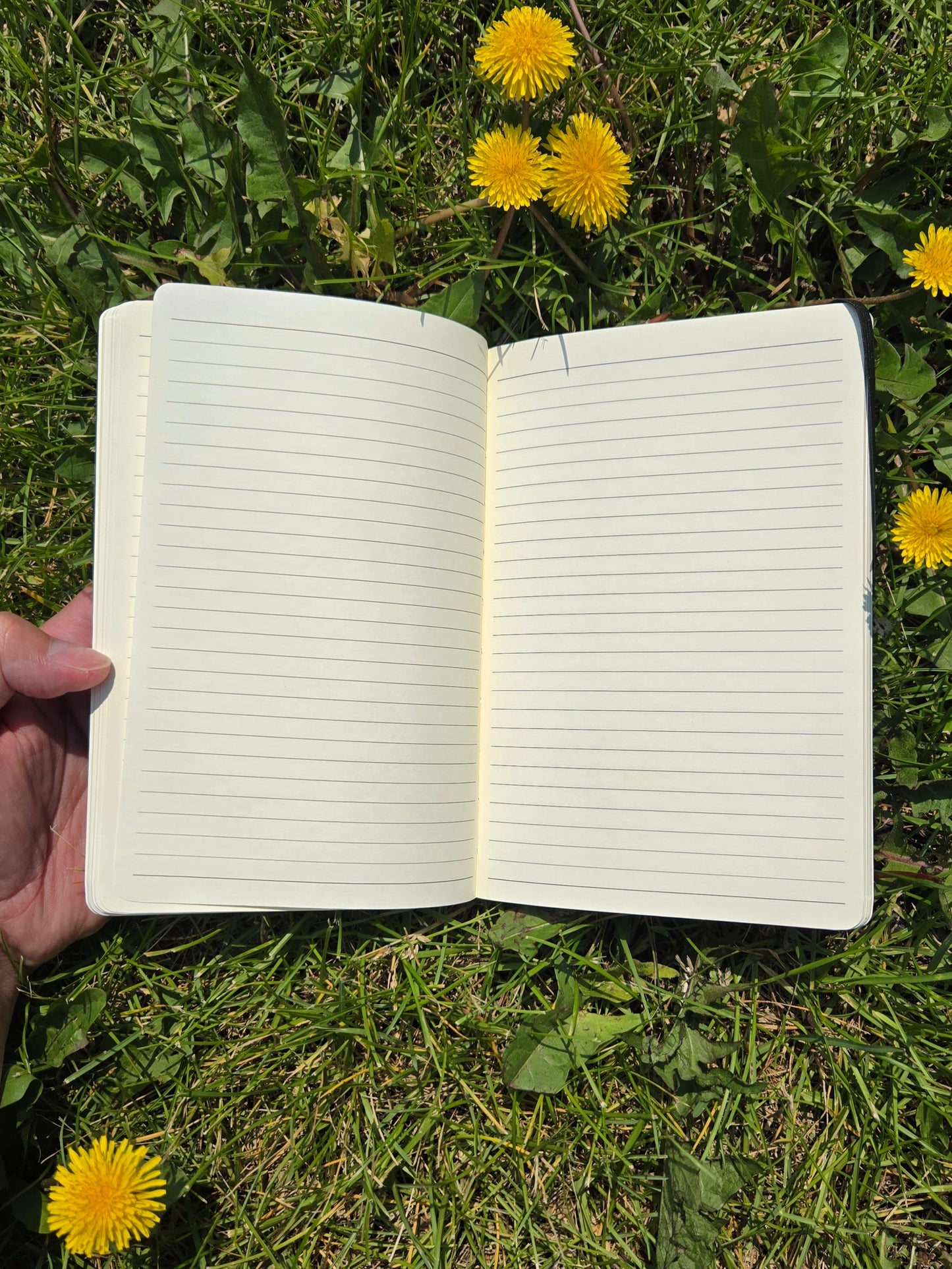 Foraging notebook in black (no pen)