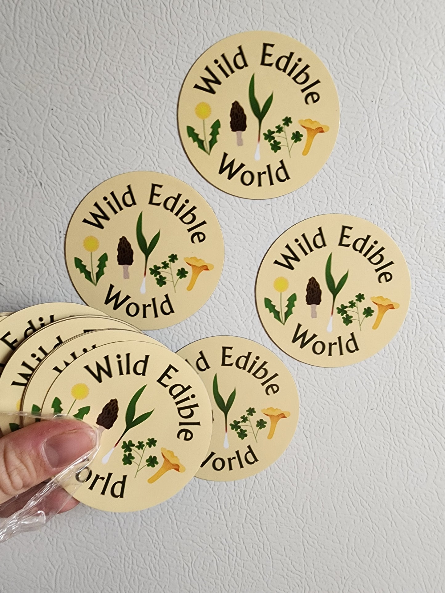 WILD EDIBLE WORLD MAGNETS 3"x3"