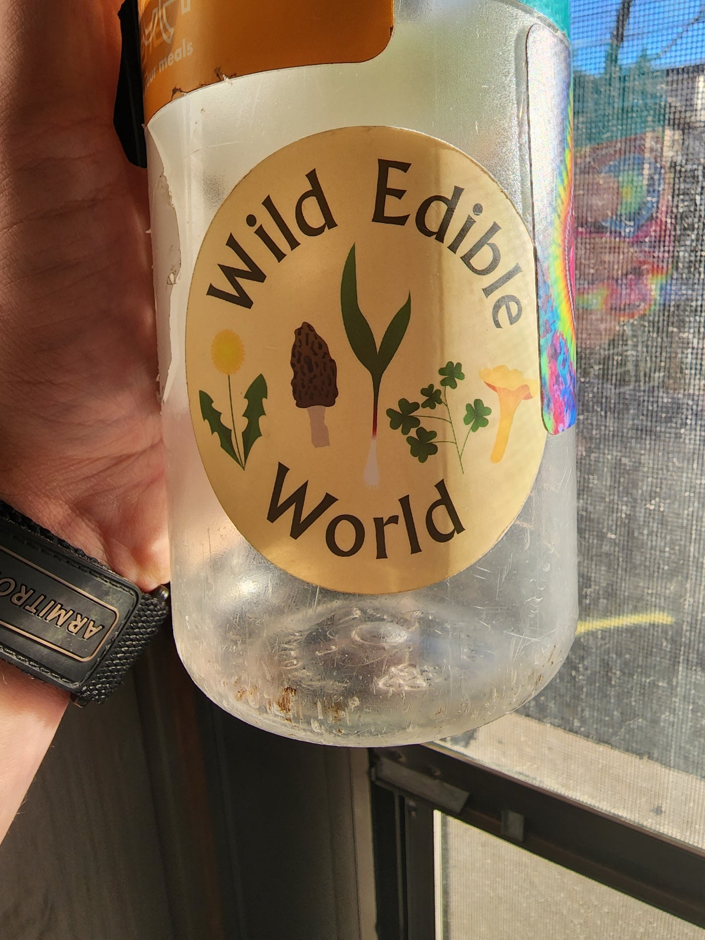 WILD EDIBLE WORLD STICKER 3"x3"
