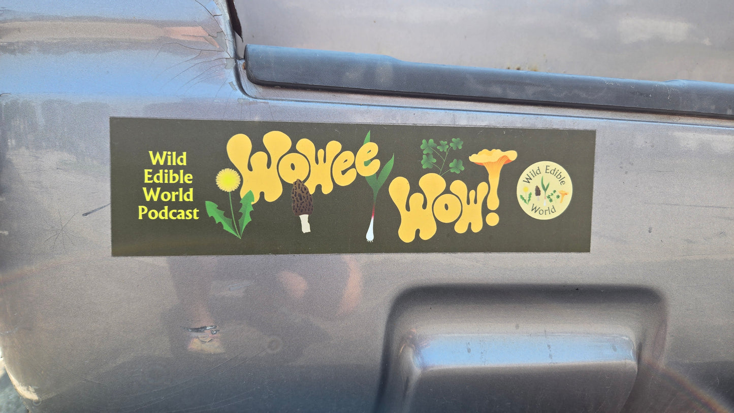 WOWEE-WOW BUMPER STICKER